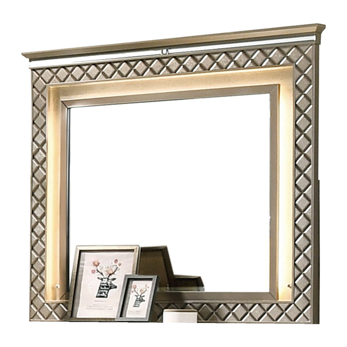 Coral Contemporary Style Mirror in Bronze finish Wood