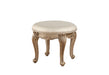 Orianne Champagne PU & Antique Gold Vanity Stool image